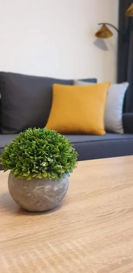 크라쿠프 Apartament Barbary 아파트 폴란드